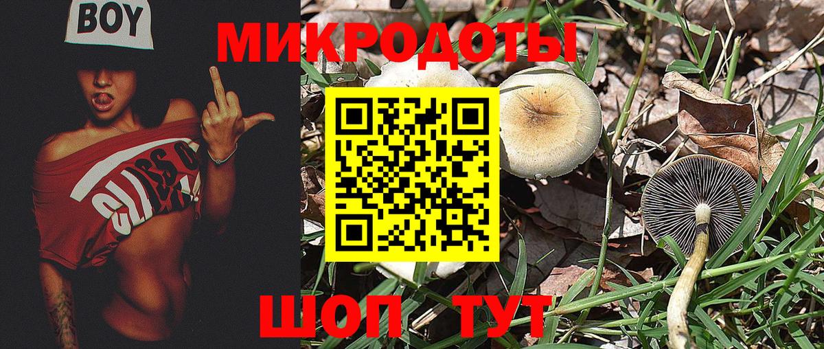 Галлюциногенные грибы GOLDEN TEACHER Кушва